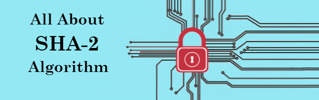 SHA-2 Encryption Algorithm: Does It really improves website security?