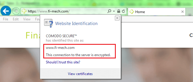 dv ssl certificate information internet explorer