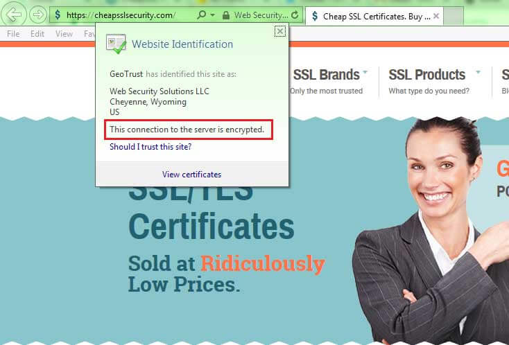 view ev ssl certificate information internet explorer