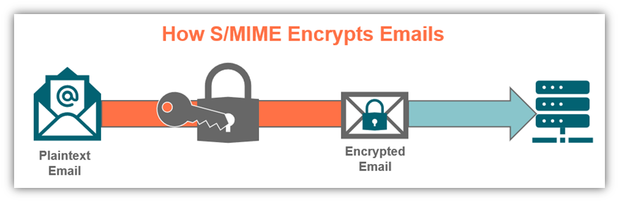 What is S/MIME graphic: An illustration of how the S/MIME email encryption process works