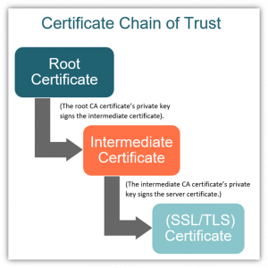 What Is An SSL Certificate (and Why Do You Need It?)