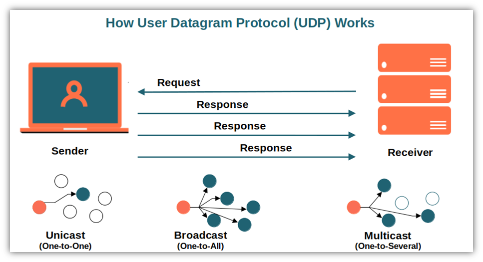 What Is the UDP Protocol? A User Datagram Protocol Definition