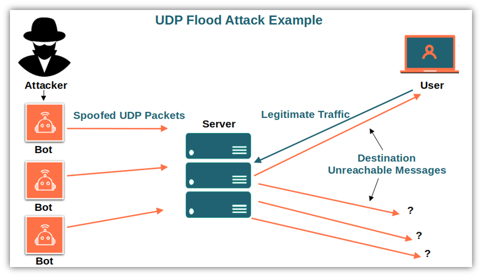 What Is the UDP Protocol? A User Datagram Protocol Definition