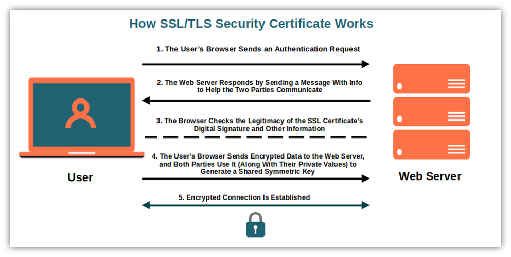 A basic breakdown of how SSL/TLS certificates work relating to the SSL/TLS handshake process