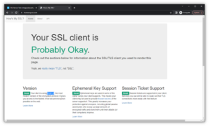 TLS Checker: How to Check the TLS Version of a Website