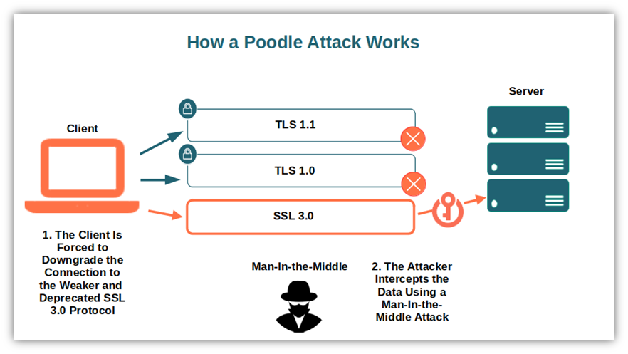An illustration that provides a basic overview of how a POODLE downgrade attack works