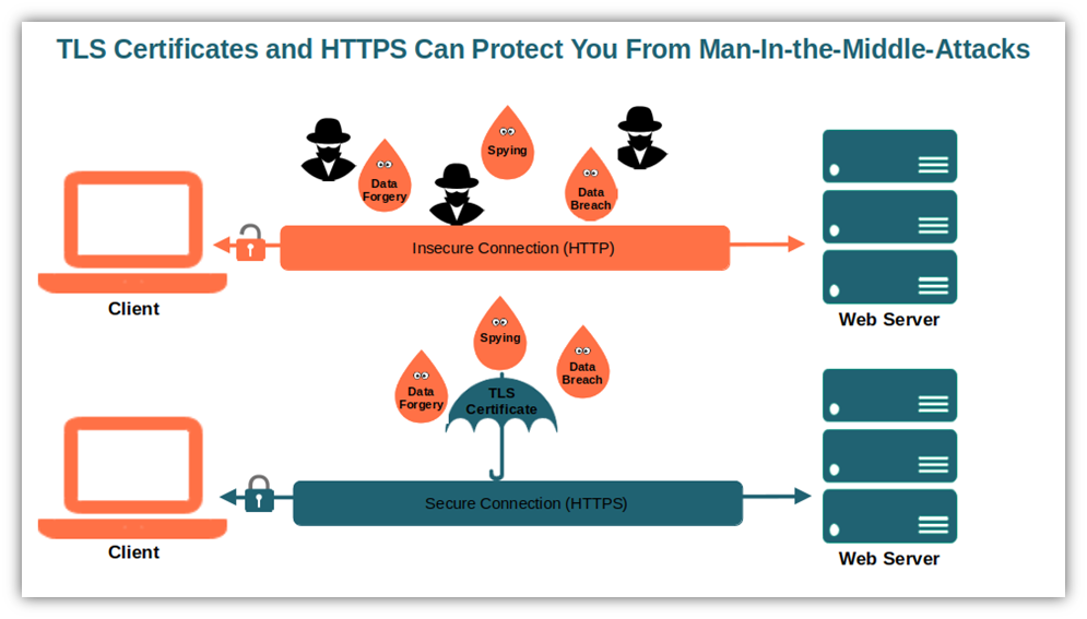 A basic illustration that shows how TLS and HTTPS helps to protect data against man-in-the-middle attacks by creating a secure channel to transmit data through.