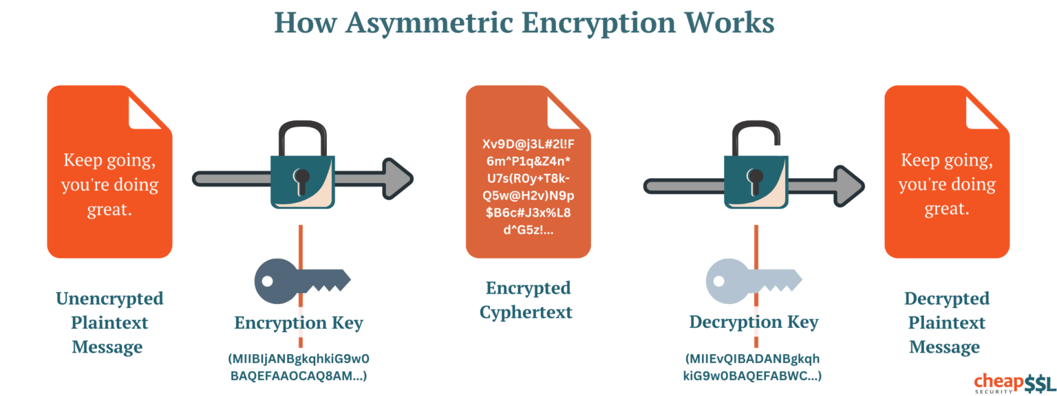 Decoding Cryptography and Its Types in Cybersecurity
