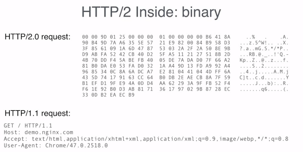 Figure 7: HTTP/2 - Binary Traffic