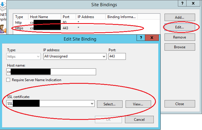 Graphic: IIS wildcard binding in IIS Manager